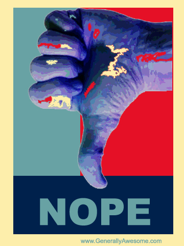 NOPE! This one is for all those who voted against Obama!