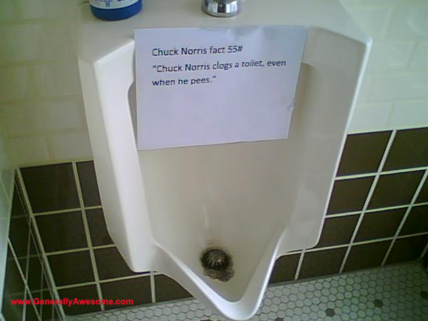 This funny photo was taken on cell-phone camera in the bathroom.  Nice practical application of the Chuck Norris facts.