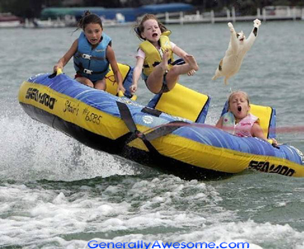 Who brought the cat to the lake?  We were having such a nice time boating and someone went and brought this cat for a ride on the Sea Doo Floaty fun ride!